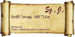 Szántay Júlia névjegykártya